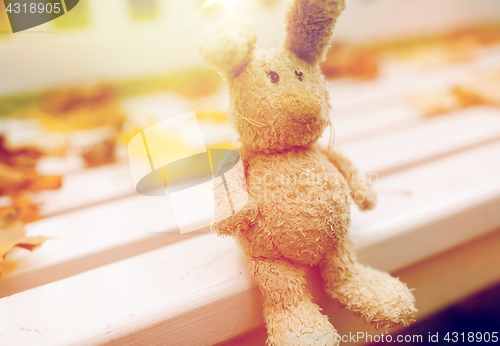 Image of toy rabbit on bench in autumn park