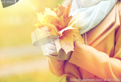 Image of close up of woman with maple leaves in autumn park