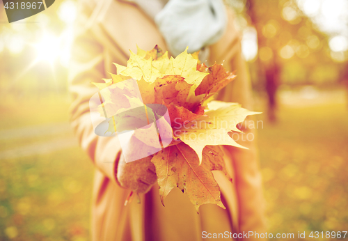 Image of close up of woman with maple leaves in autumn park