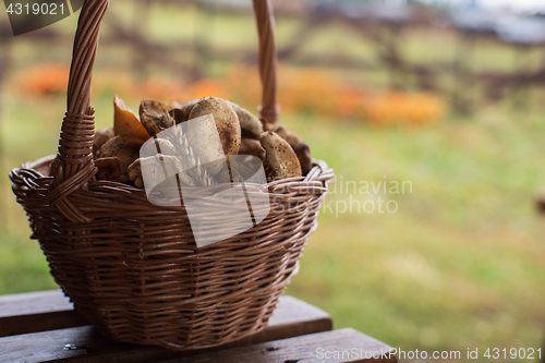 Image of Different mushrooms in basket