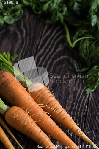 Image of Freshly grown carrots