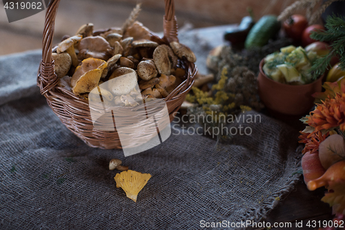 Image of Different mushrooms in basket