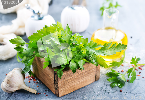 Image of fresh parsley