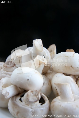 Image of Whole mushrooms