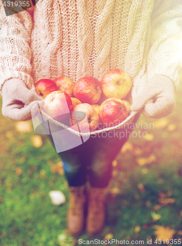 Image of woman with apples at autumn garden