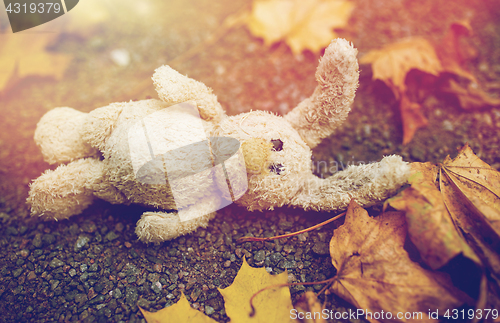 Image of toy rabbit and autumn leaves on road or ground
