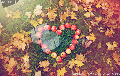 Image of apples in heart shape and autumn leaves on grass