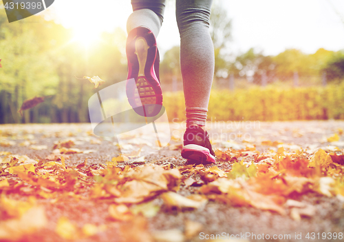 Image of close up of young woman running in autumn park