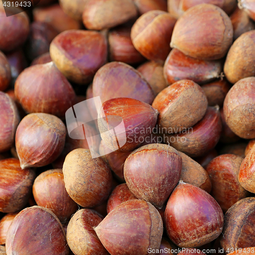 Image of Hazelnuts in shells