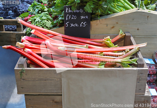 Image of Rhubarb