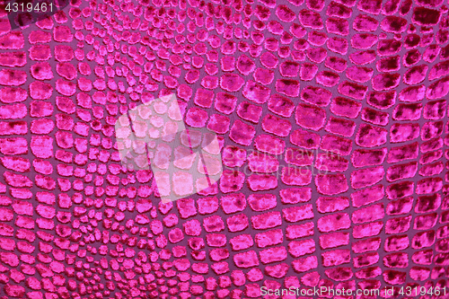 Image of Pink fabric