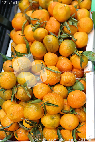 Image of Mandarin orange