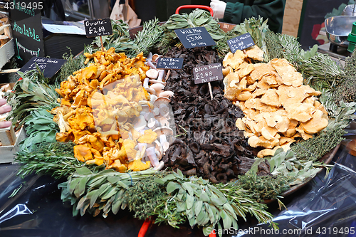 Image of Wild mushroom mix