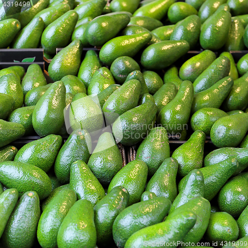 Image of Avocado