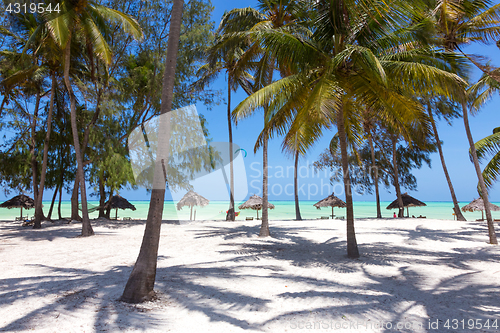 Image of Perfect white sand beach with palm trees, Paje, Zanzibar, Tanzania