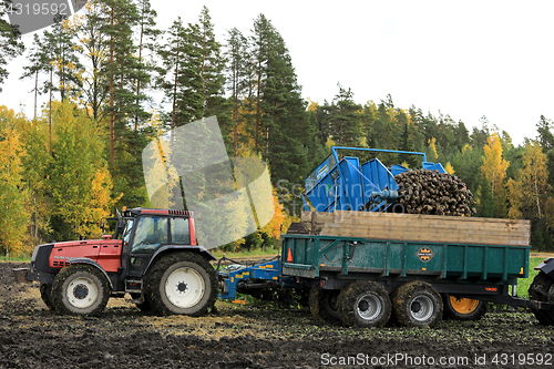 Image of Sugar Beet Harvest in Finland