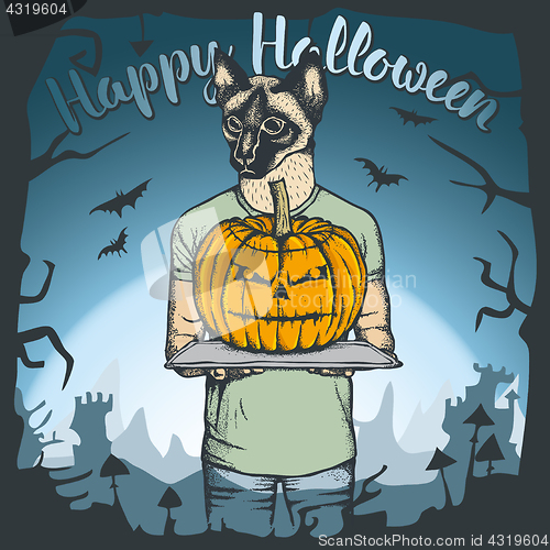 Image of Vector illustration of Halloween cat concept