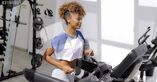 Image of Woman training in outside gym