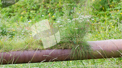 Image of Old water pipe