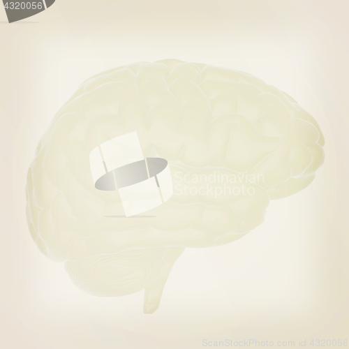 Image of 3D illustration of human brain. Vintage style.