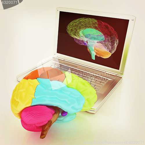 Image of creative three-dimensional model of real human brain and scan on