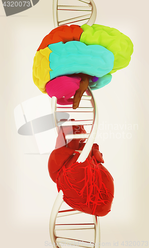 Image of DNA, brain and heart. 3d illustration. Vintage style.