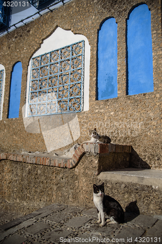 Image of Chefchaouen, the blue city in the Morocco.