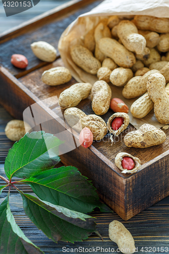 Image of Paper bag with a dry peanut.