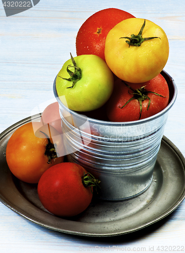 Image of Colorful Fresh Tomatoes