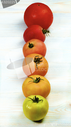 Image of Colorful Fresh Tomatoes