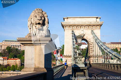 Image of BUDAPEST, HUNGARY - 2017 MAY 19th: lion statue at the beginning 