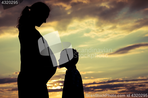 Image of Mother and son walking on the field at the sunset time.