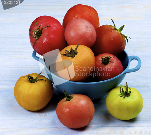 Image of Colorful Fresh Tomatoes
