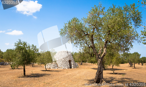 Image of Puglia Region, Italy. Traditional warehouse made of stone