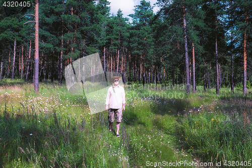 Image of Man Walking in Pine Forest