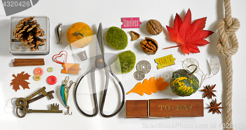 Image of Autumn Collection  Mockup objects