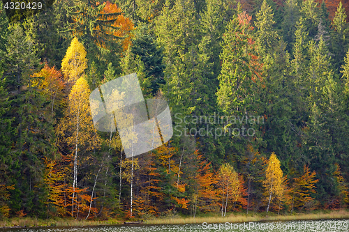 Image of Autumn  foliage in Lake Saint Ann
