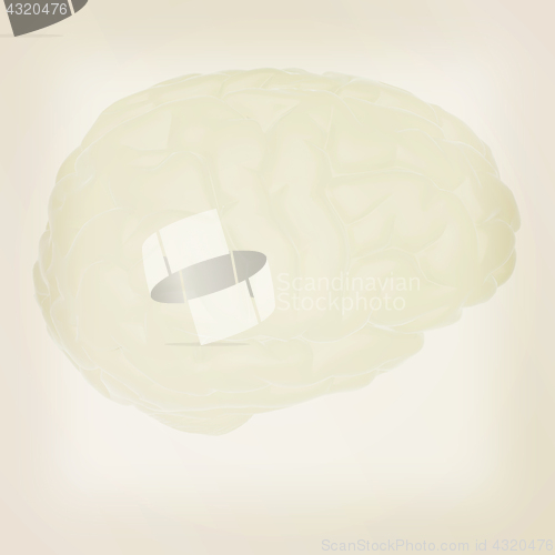 Image of 3D illustration of human brain. Vintage style.