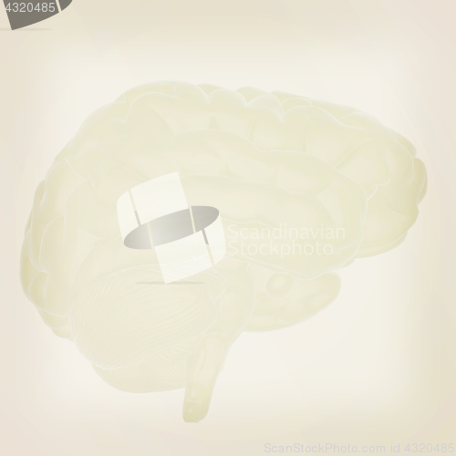 Image of 3D illustration of human brain. Vintage style.