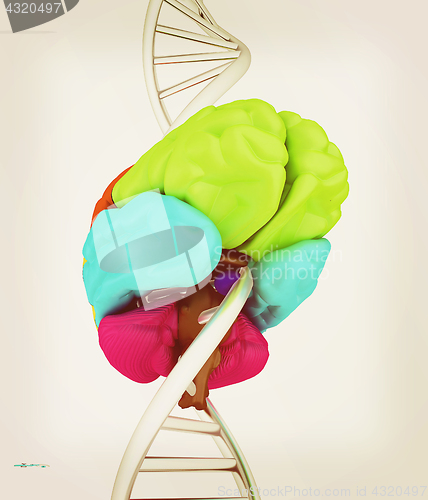 Image of Brain and dna. 3d illustration. Vintage style.