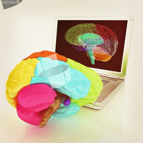 Image of creative three-dimensional model of real human brain and scan on