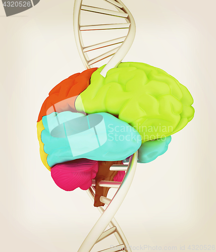 Image of Brain and dna. 3d illustration. Vintage style.