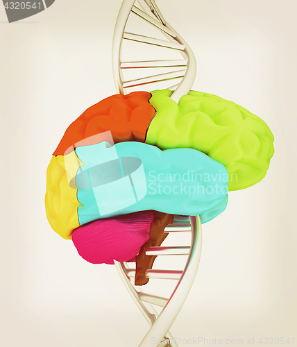 Image of Brain and dna. 3d illustration. Vintage style.