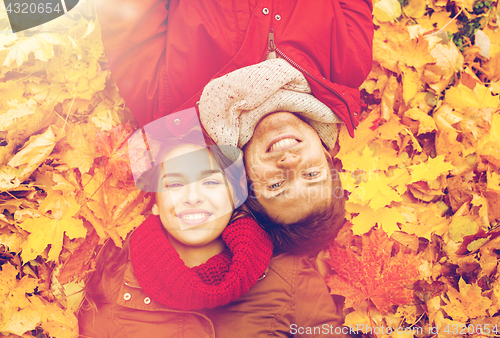 Image of close up of smiling couple lying on autumn leaves