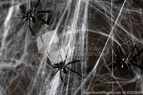 Image of halloween decoration of black toy spiders on web