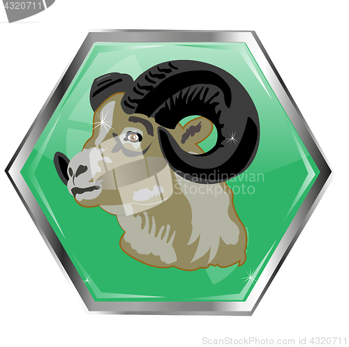 Image of Mountain ram on button