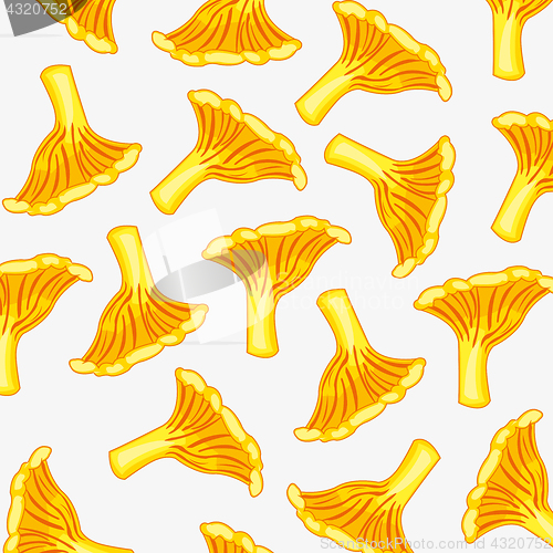 Image of Pattern from mushroom