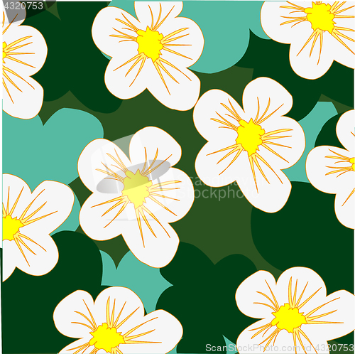 Image of Glade with flower