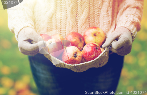 Image of close up of woman with apples in autumn