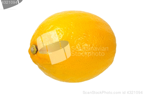 Image of Lemon on white